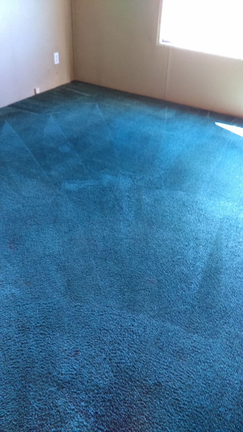 Before And After Bigg Time Carpet Upholstery Cleaning