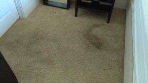 Carpet Cleaning in Mooresville, North Carolina